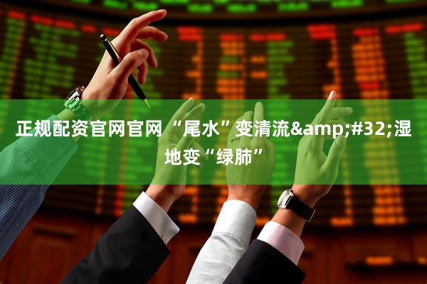 正规配资官网官网 “尾水”变清流&#32;湿地变“绿肺”