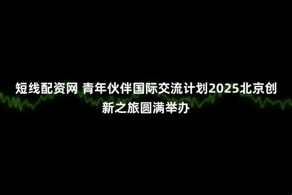 短线配资网 青年伙伴国际交流计划2025北京创新之旅圆满举办
